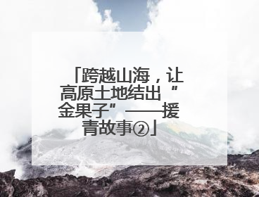 跨越山海，让高原土地结出“金果子”——援青故事②