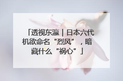 透视东瀛｜日本六代机欲命名“烈风”，暗藏什么“祸心”
