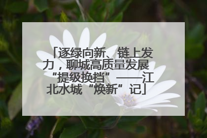 逐绿向新、链上发力，聊城高质量发展“提级换挡”——江北水城“焕新”记