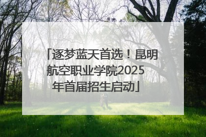 逐梦蓝天首选！昆明航空职业学院2025年首届招生启动
