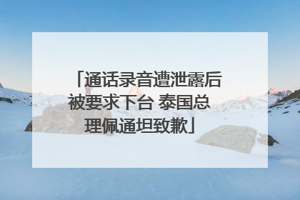 通话录音遭泄露后被要求下台 泰国总理佩通坦致歉