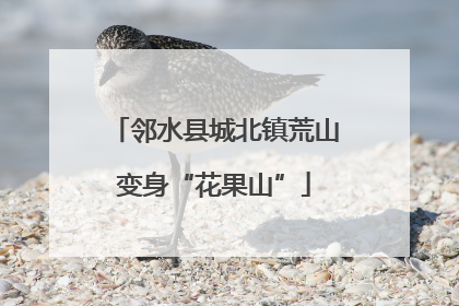 邻水县城北镇荒山变身“花果山”