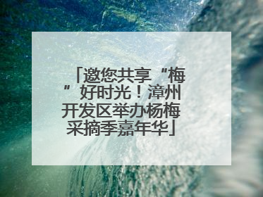 邀您共享“梅”好时光！漳州开发区举办杨梅采摘季嘉年华