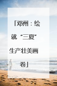 邓州：绘就“三夏”生产壮美画卷