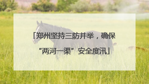 郑州坚持三防并举，确保“两河一渠”安全度汛