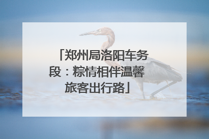郑州局洛阳车务段：粽情相伴温馨旅客出行路