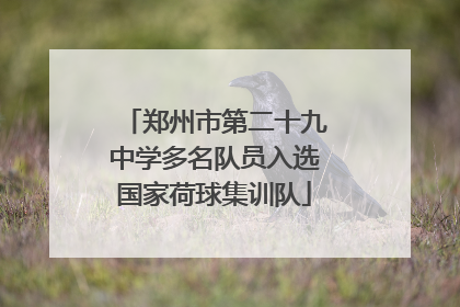 郑州市第二十九中学多名队员入选国家荷球集训队