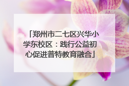 郑州市二七区兴华小学东校区：践行公益初心促进普特教育融合
