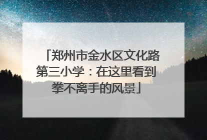 郑州市金水区文化路第三小学：在这里看到拳不离手的风景