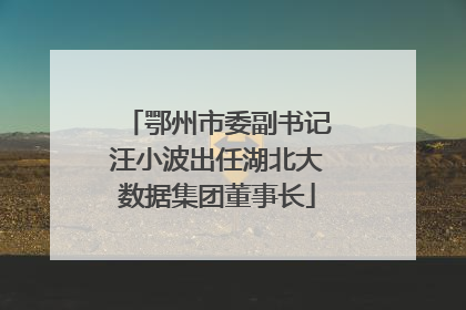 鄂州市委副书记汪小波出任湖北大数据集团董事长