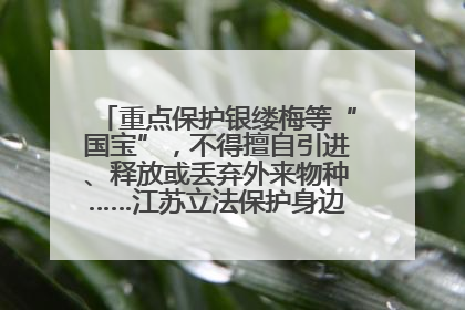 重点保护银缕梅等“国宝”，不得擅自引进、释放或丢弃外来物种……江苏立法保护身边的生物“朋友圈”