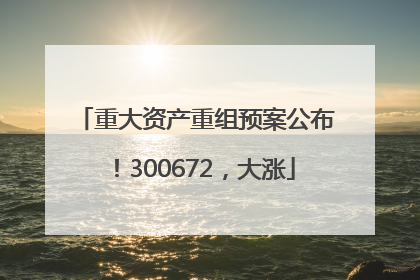 重大资产重组预案公布！300672，大涨