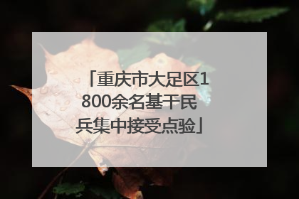 重庆市大足区1800余名基干民兵集中接受点验