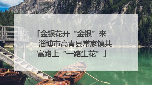 金银花开“金银”来——淄博市高青县常家镇共富路上“一路生花”