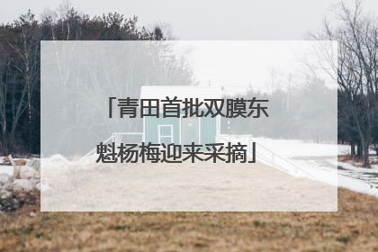 青田首批双膜东魁杨梅迎来采摘