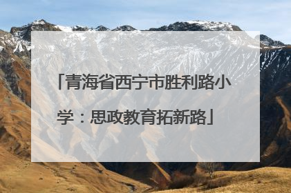 青海省西宁市胜利路小学：思政教育拓新路