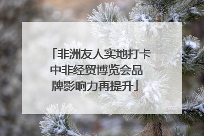 非洲友人实地打卡 中非经贸博览会品牌影响力再提升