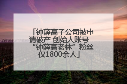 钟薛高子公司被申请破产 创始人账号“钟薛高老林”粉丝仅1800余人