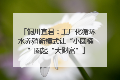 铜川宜君：工厂化循环水养殖新模式让“小圆桶”圈起“大财富”