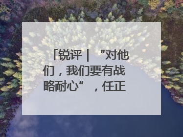 锐评｜“对他们，我们要有战略耐心”，任正非给谁提了醒