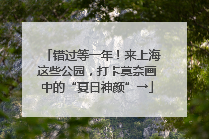 错过等一年！来上海这些公园，打卡莫奈画中的“夏日神颜”→
