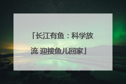 长江有鱼：科学放流 迎接鱼儿回家