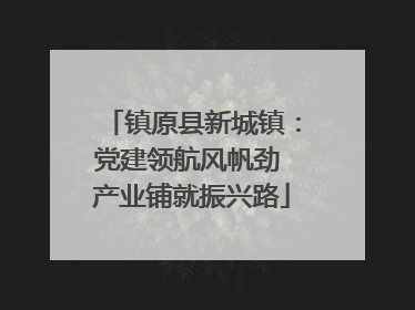 镇原县新城镇：党建领航风帆劲 产业铺就振兴路