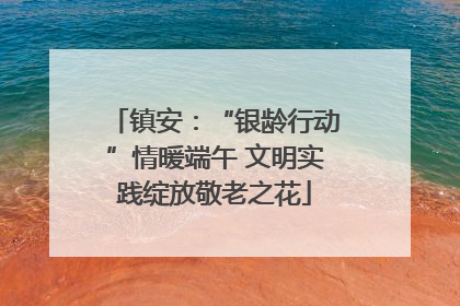 镇安：“银龄行动”情暖端午 文明实践绽放敬老之花