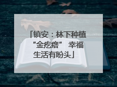 镇安：林下种植“金疙瘩” 幸福生活有盼头