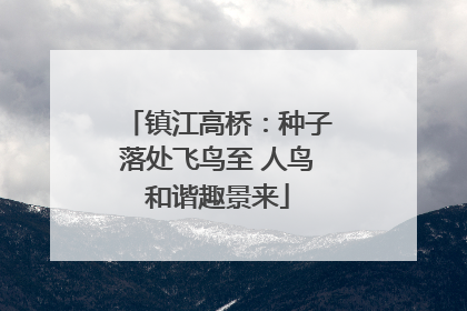 镇江高桥：种子落处飞鸟至 人鸟和谐趣景来