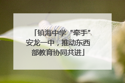 镇海中学“牵手”安龙一中，推动东西部教育协同共进