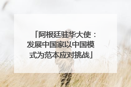 阿根廷驻华大使：发展中国家以中国模式为范本应对挑战
