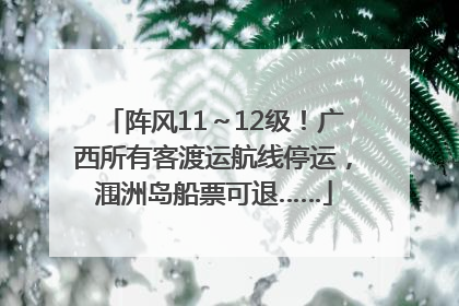 阵风11～12级！广西所有客渡运航线停运，涠洲岛船票可退……