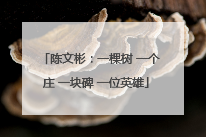 陈文彬：一棵树 一个庄 一块碑 一位英雄