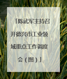 陈武军主持召开德兴市工业领域重点工作调度会（图）