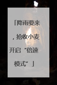 降雨要来，抢收小麦开启“倍速模式”