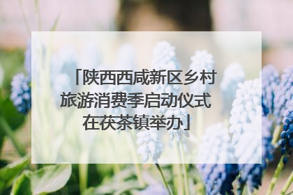陕西西咸新区乡村旅游消费季启动仪式在茯茶镇举办