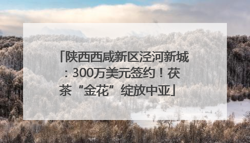 陕西西咸新区泾河新城：300万美元签约！茯茶“金花”绽放中亚