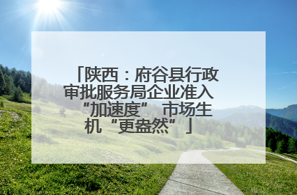 陕西：府谷县行政审批服务局企业准入“加速度” 市场生机“更盎然”