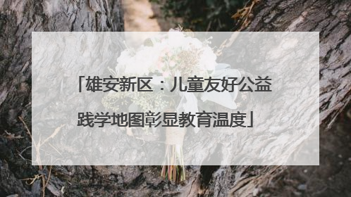 雄安新区：儿童友好公益践学地图彰显教育温度