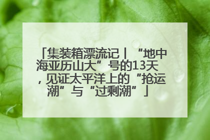 集装箱漂流记丨“地中海亚历山大”号的13天，见证太平洋上的“抢运潮”与“过剩潮”