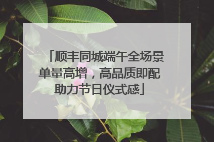 顺丰同城端午全场景单量高增，高品质即配助力节日仪式感