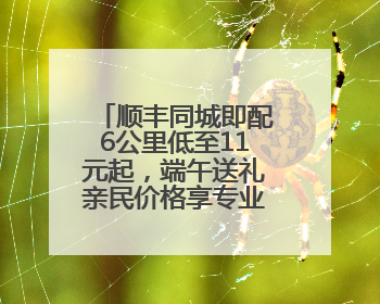 顺丰同城即配6公里低至11元起，端午送礼亲民价格享专业高端服务