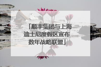 顺丰集团与上海迪士尼度假区宣布数年战略联盟