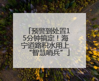 预警到处置15分钟搞定！海宁道路积水用上“智慧哨兵”