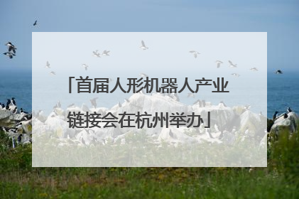 首届人形机器人产业链接会在杭州举办