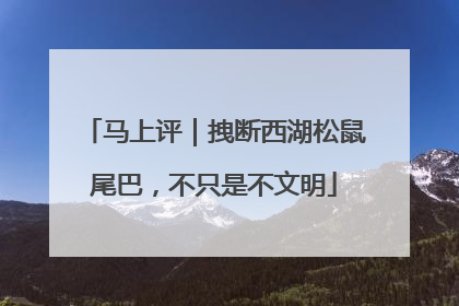 马上评｜拽断西湖松鼠尾巴，不只是不文明