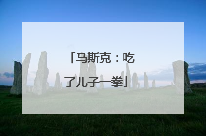 马斯克：吃了儿子一拳