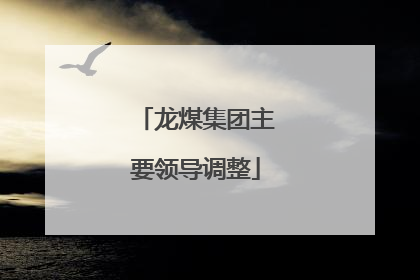 龙煤集团主要领导调整