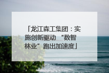 龙江森工集团：实施创新驱动 “数智林业”跑出加速度